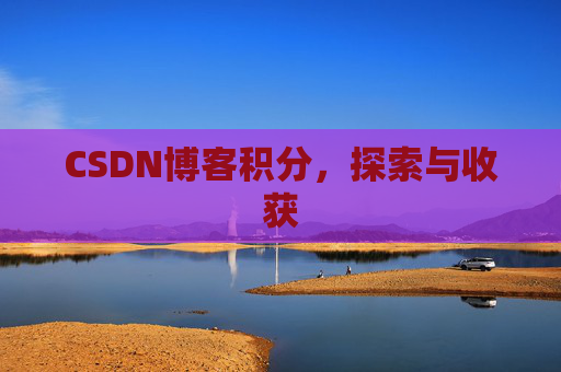 CSDN博客积分，探索与收获